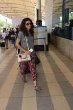 snapped at Airport on 20th Feb 2016